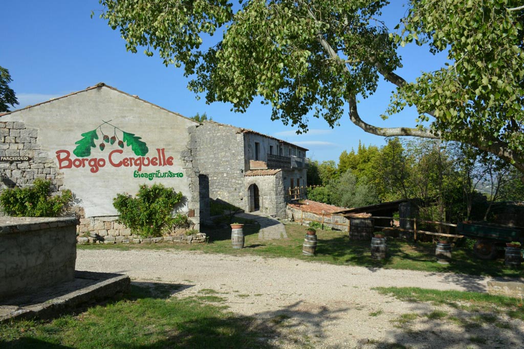 Azienda Bio Agrituristica "Borgo Cerquelle"
