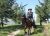 Escursione a cavallo sul Tammaro